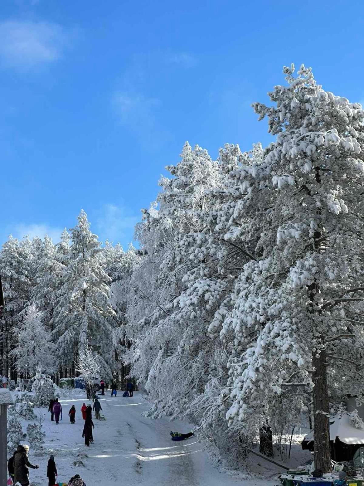 All Seasons Residence Zlatibor Zewnętrze zdjęcie